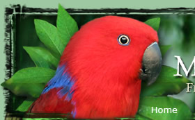 Friends of the Aviary Home Page